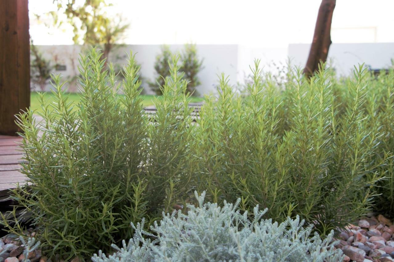 Graca Garden Home 리스본 외부 사진